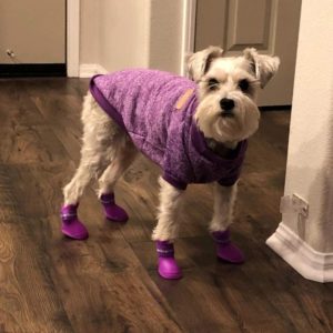 Cdycam Puppy Dogs Candy Colors Anti-Slip Waterproof Rubber Rain Shoes Boots Paws Cover