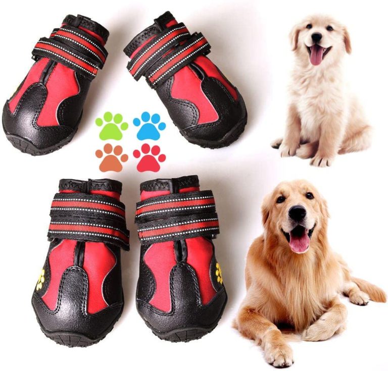 Best Waterproof Dog Swimming Shoes Dog Rain Boots