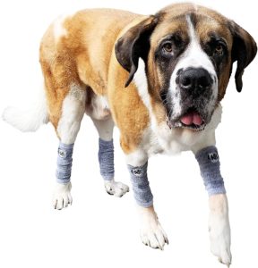 HugeHounds Puttee Tights - Extra Large Leg Protection for XL Big Dogs. Leg Warmer Style