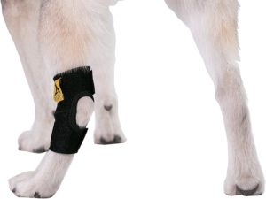 AGON Dog Canine Rear Hock Joint Brace Compression Wrap with Straps Dog for Back Leg Protects Wounds. Heals Prevents Injuries and Sprains Helps with Loss of Stability Caused by Arthritis