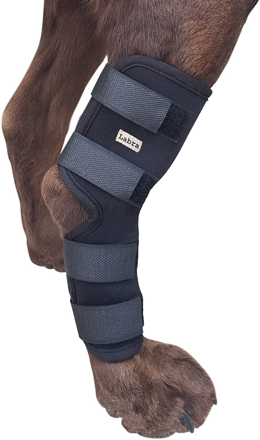 Best Leg Protectors to Relieve Wound Dog Leg Wraps