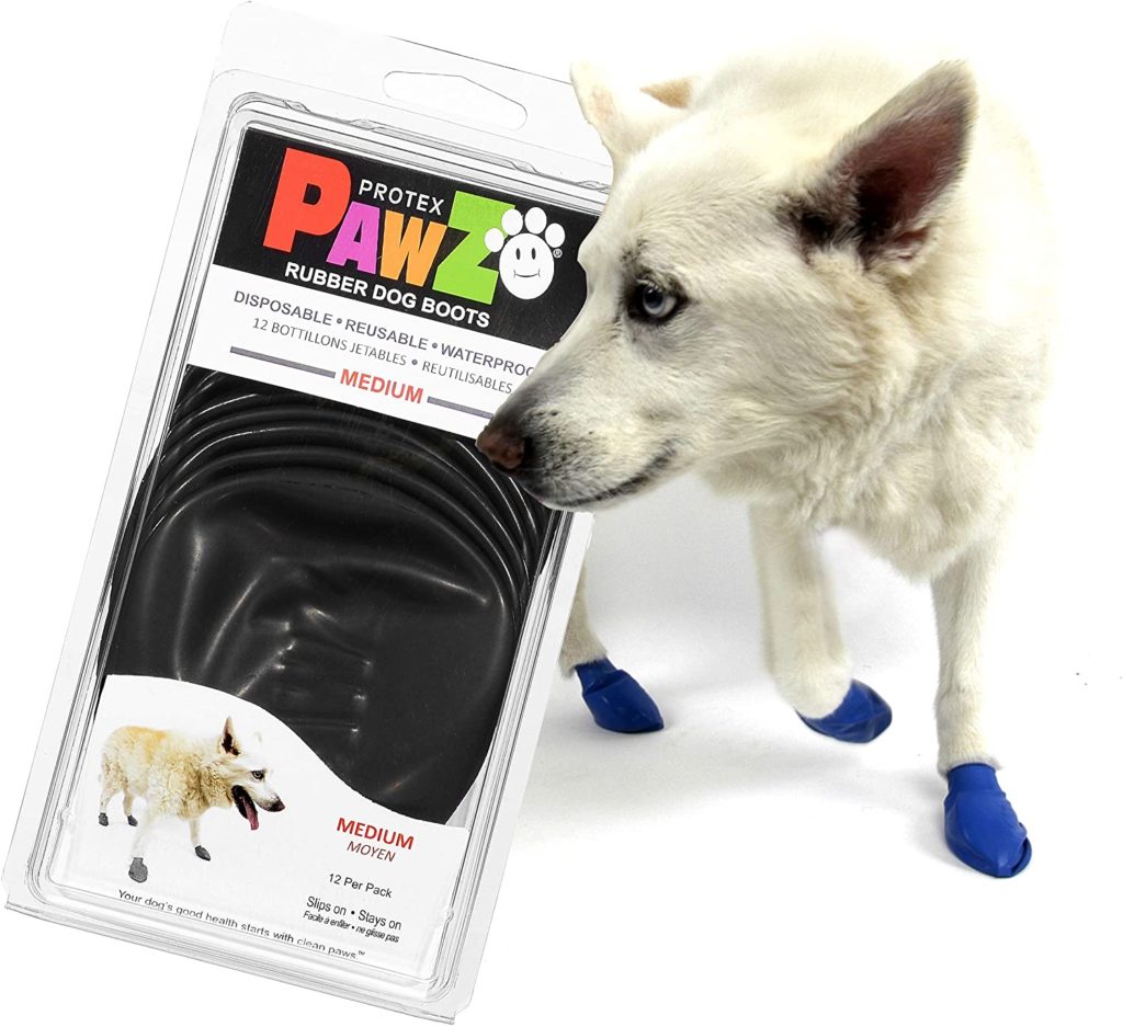 Best PawZ Dog Boots Reviewed
