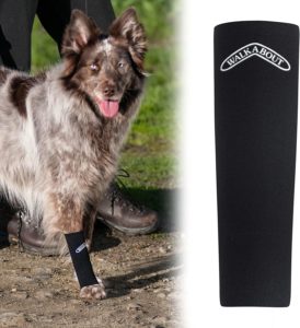 Walkabout Harnesses Canine Compression Sleeve