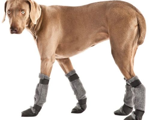 XL Dog Boots for Great Danes