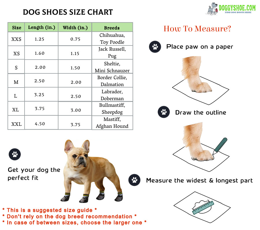 Dog boot size guide by breed